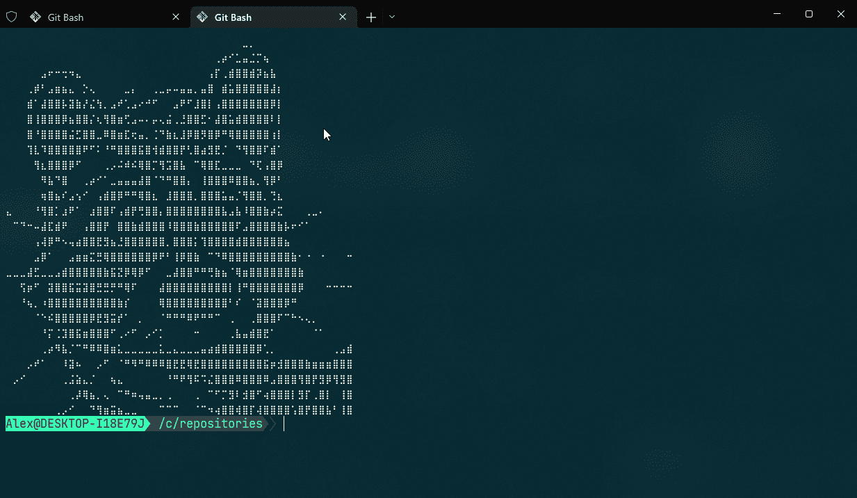 Bonus raccoon ascii art